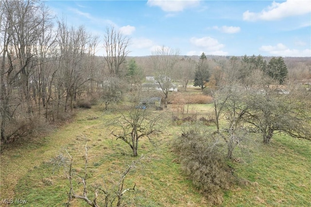 view of local wilderness featuring a rural view