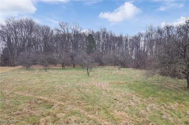 view of yard featuring a rural view