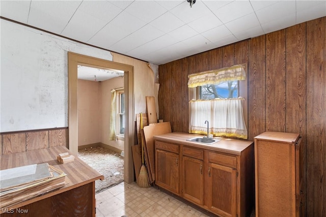 kitchen with wood walls and sink