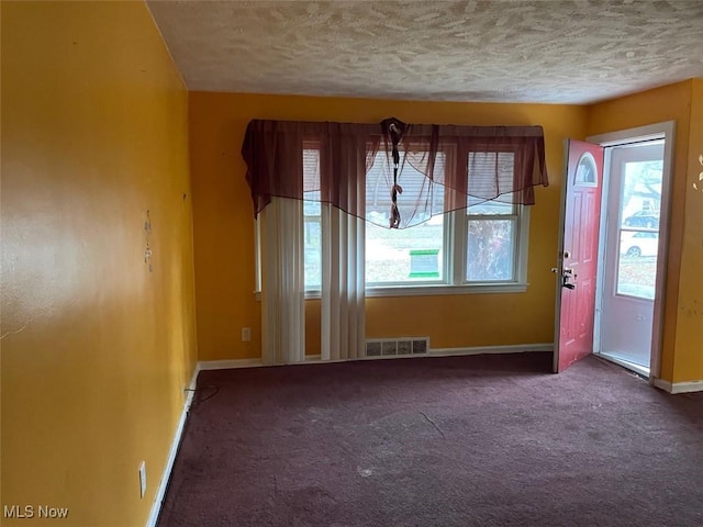 spare room featuring a wealth of natural light, carpet floors, and a textured ceiling