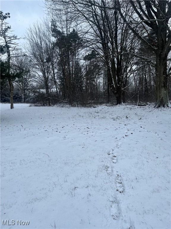 view of yard covered in snow