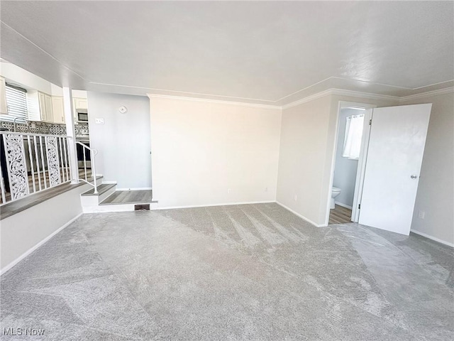 carpeted empty room with crown molding