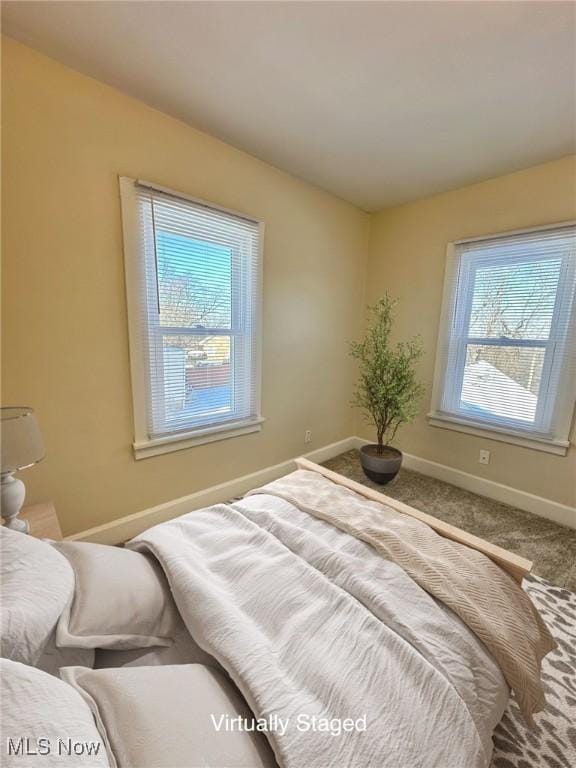 carpeted bedroom with multiple windows