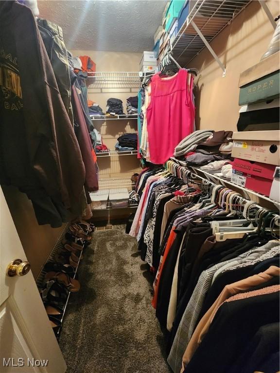 spacious closet featuring carpet flooring