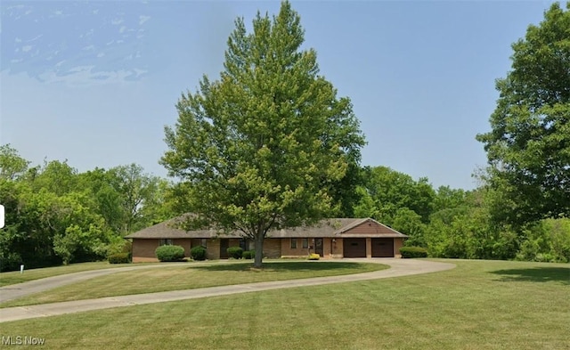 ranch-style house with a front yard