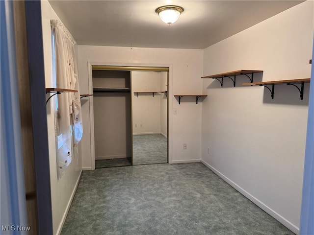 walk in closet with dark carpet