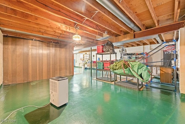 basement with wood walls