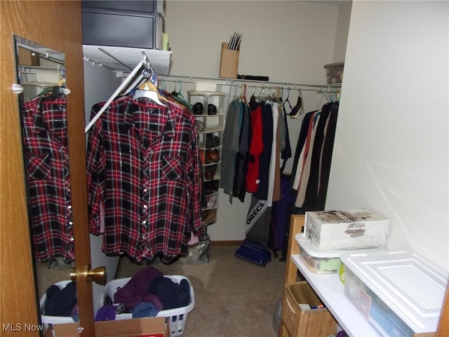 walk in closet featuring carpet floors