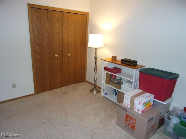 interior space with light colored carpet