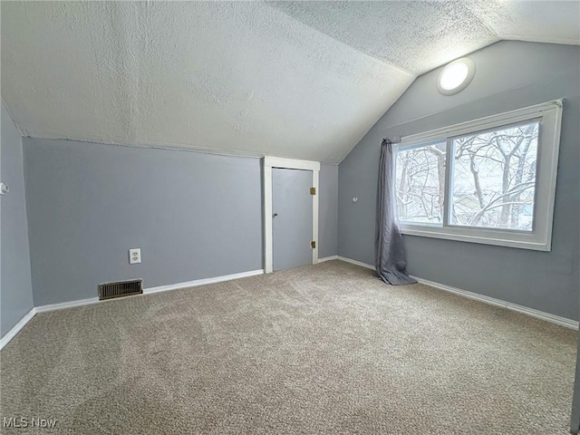 additional living space with carpet flooring, lofted ceiling, and a textured ceiling