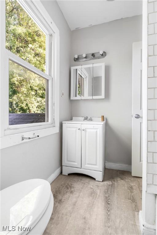 bathroom with hardwood / wood-style floors, vanity, and toilet