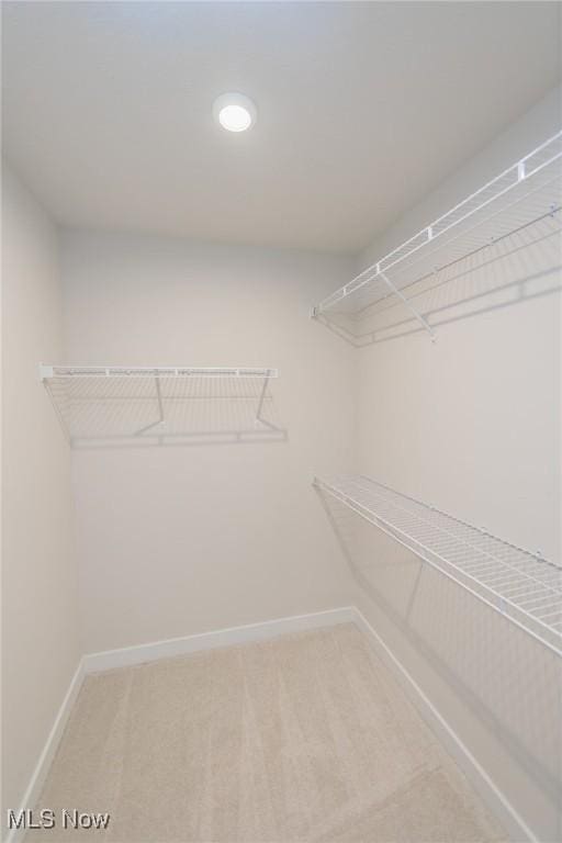 spacious closet featuring carpet flooring