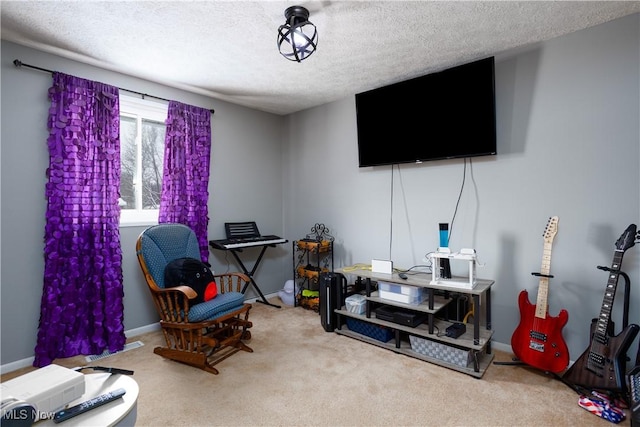 sitting room with a textured ceiling and carpet floors