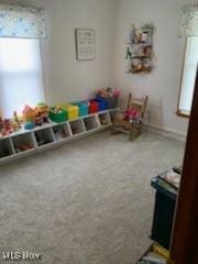 game room with carpet floors