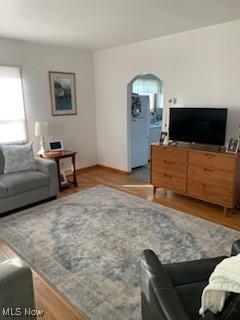 living room with wood-type flooring