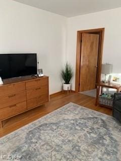 living room featuring hardwood / wood-style flooring