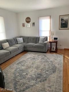 living room with hardwood / wood-style floors