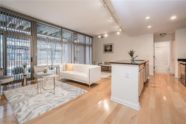 kitchen featuring light wood-type flooring, a center island with sink, expansive windows, and sink