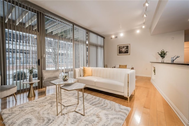 living room with light hardwood / wood-style floors and sink