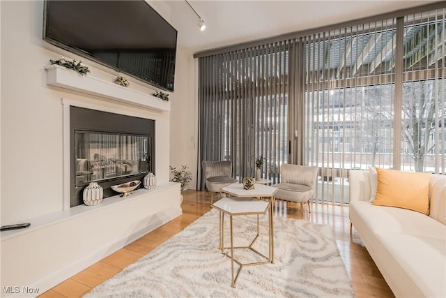 sitting room featuring hardwood / wood-style floors