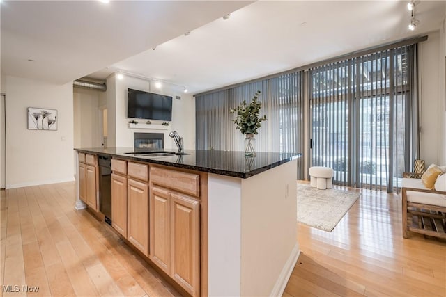 kitchen featuring sink, light hardwood / wood-style flooring, dark stone countertops, and a center island with sink