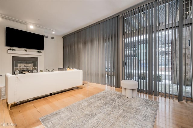 living room featuring hardwood / wood-style floors