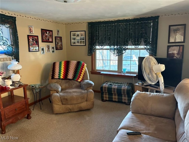 living area featuring carpet