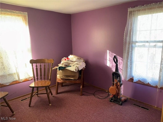 living area with carpet floors