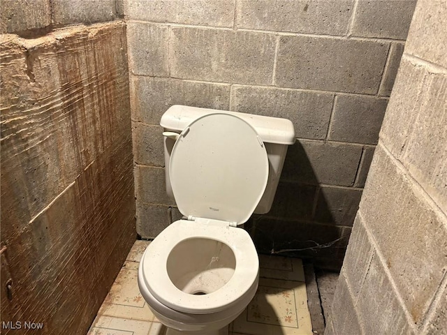 bathroom featuring toilet