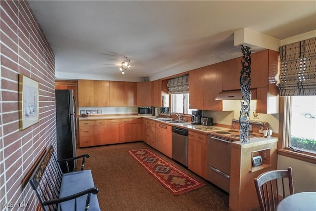 kitchen featuring a wealth of natural light, sink, stainless steel appliances, and range hood