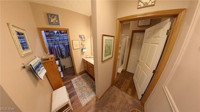 bathroom with hardwood / wood-style floors and vanity