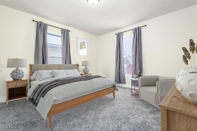 bedroom with carpet flooring