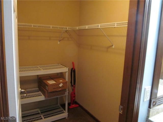 view of spacious closet