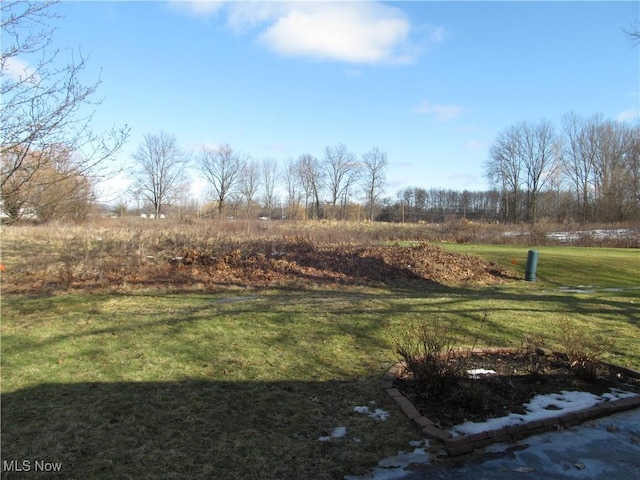 view of yard featuring a rural view