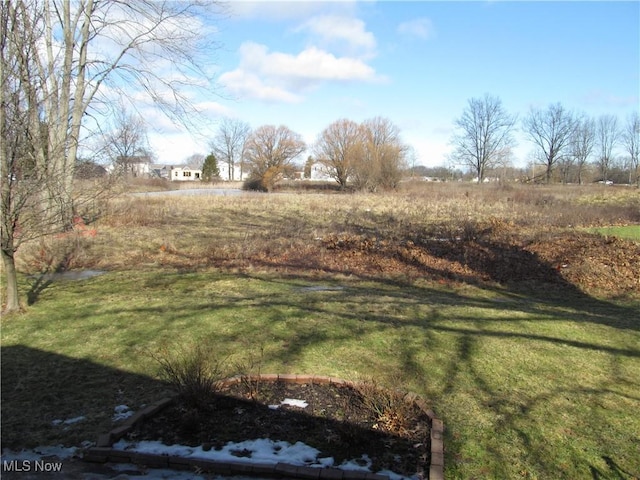 view of yard with a rural view