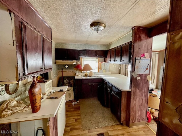 kitchen featuring light wood-type flooring, dark brown cabinetry, crown molding, and sink