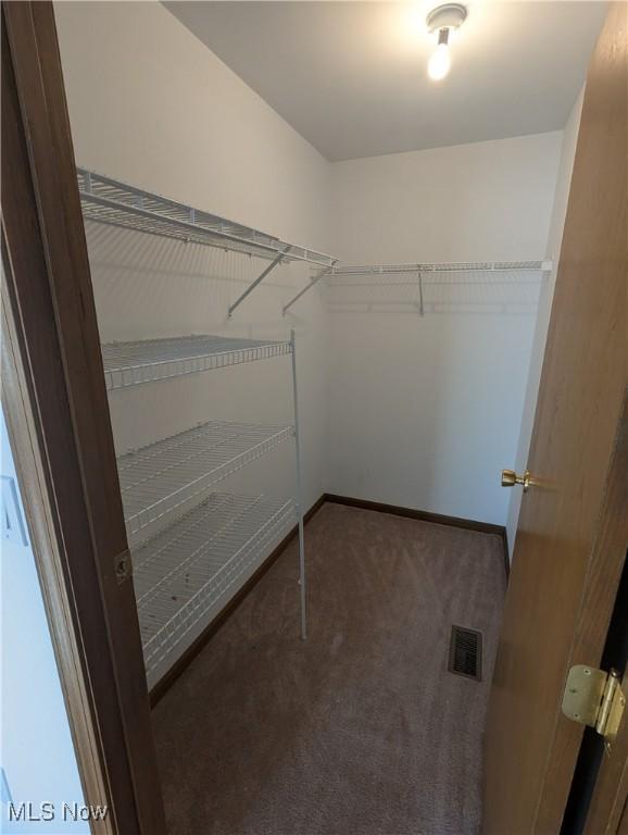 spacious closet with carpet flooring