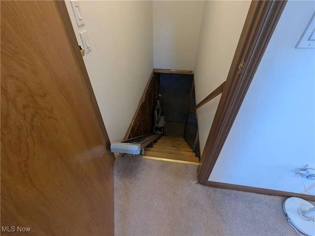 stairway with carpet floors