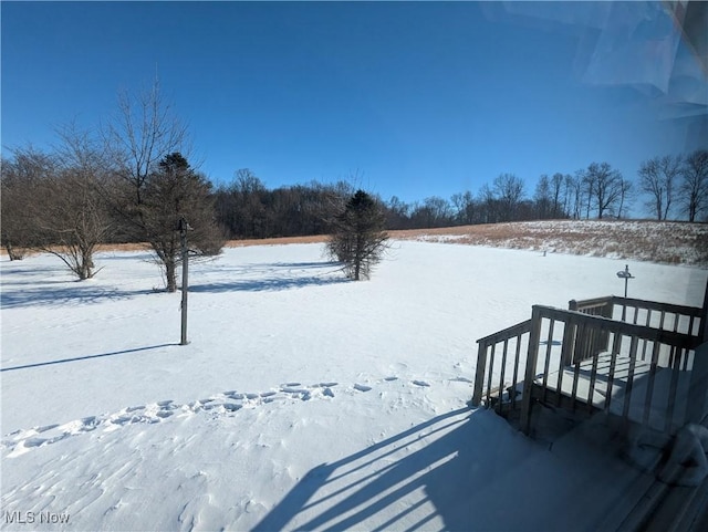 view of yard layered in snow