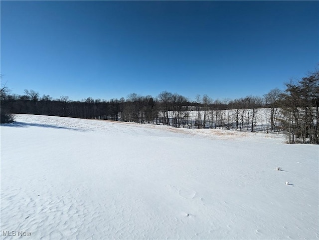 view of yard layered in snow