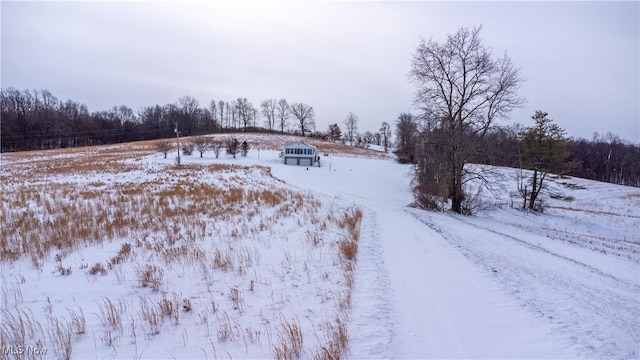 view of snowy yard