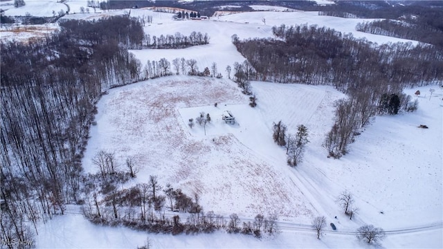 view of snowy aerial view