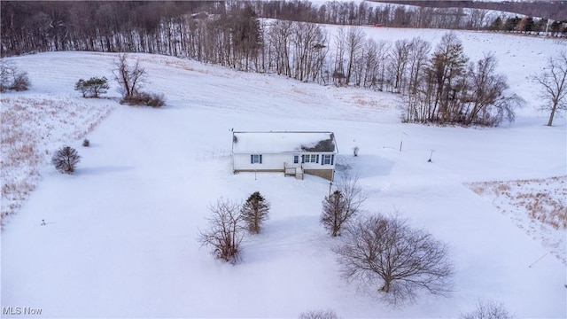 view of snowy aerial view