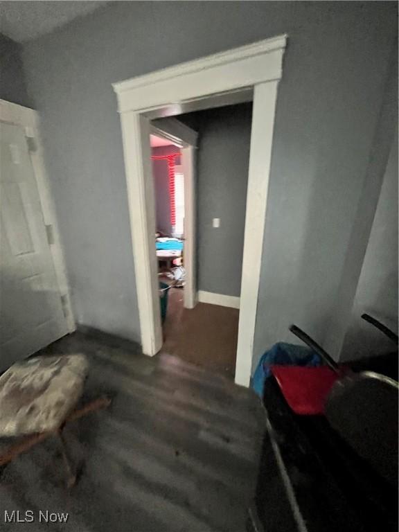 hallway featuring dark wood-type flooring