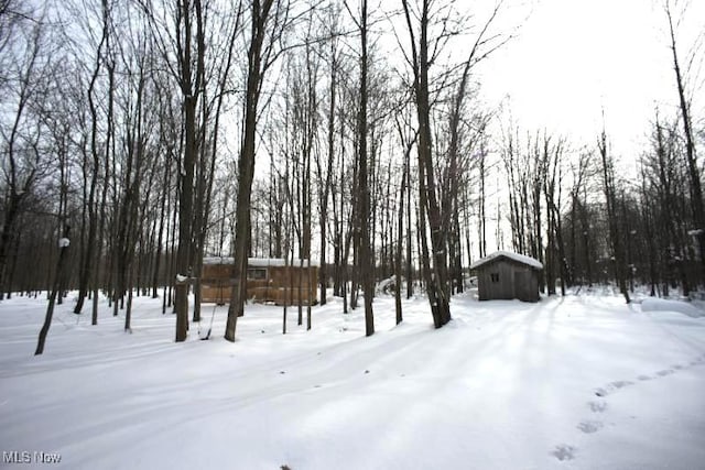 view of yard covered in snow