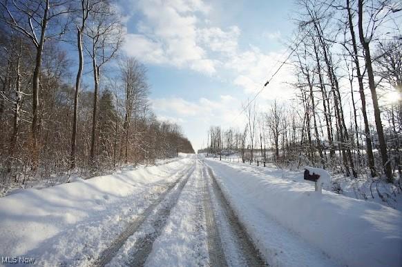 3029 Sweet Rd, Conneaut, OH 44030 - view of road