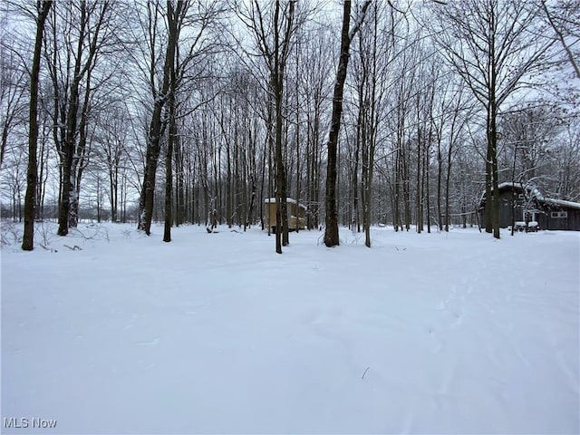 view of yard covered in snow