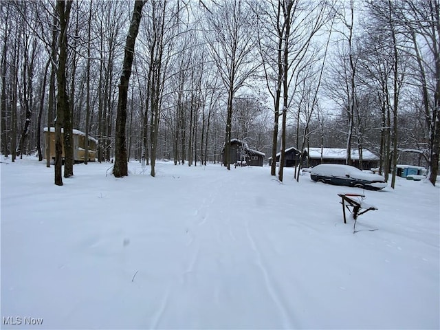 view of yard covered in snow