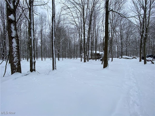 view of yard layered in snow