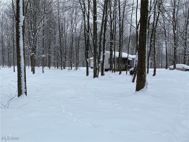 view of snowy yard